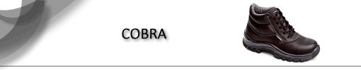 COBRA